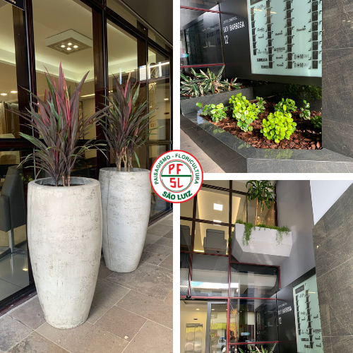 Paisagismo para Fachadas Comerciais: Transforme a Imagem do Seu Negócio com a Floricultura São Luiz